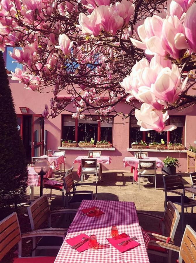 Hotel Restaurant Aux Sapins Thann Exterior photo